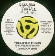 DEBRAVON LEWIS / THE LITTLE THINGS (THAT KEEP ME LOVING YOU)