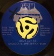 CHOCOLATE BUTTERMILK BAND / AIN'T NO WAY
