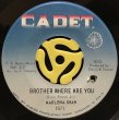 MARLENA SHAW / BROTHER WHERE ARE YOU