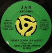 JOBELL AND THE ORCHESTRA DE SALSA / NEVER GONNA LET YOU GO