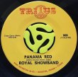 ROYAL SHOWBAND / PANAMA RED