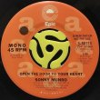 SONNY MUNRO ‎- OPEN THE DOOR TO YOUR HEART (STEREO) / (MONO)