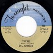 画像2: SYL JOHNSON - I FEEL AN URGE / TRY ME  (2)