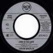 画像2: CARON WHEELER - LIVIN' IN THE LIGHT / LIVIN' IN THE LIGHT (THE ORIGINAL STORY)  (2)