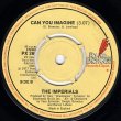 画像2: THE IMPERIALS - WHO'S GONNA LOVE ME / CAN YOU IMAGINE  (2)