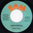 画像1: B.B.C.S. & A. - ROCK SHOCK / ROCK SHOCK (INSTRUMENTAL)  (1)