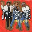 画像1: JUNGLE BROTHERS ‎- WHAT "U" WATIN' "4"? (JUNGLE FEVER EDIT) / PROMO NO. 2 (MIND REVIEW '89)  (1)