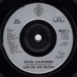 画像2: JAM ON THE MUTHA - HOTEL CALIFORNIA / JAM (7" EDIT)  (2)