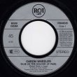 画像2: CARON WHEELER - BLUE (IS THE COLOUR OF PAIN) (PERFECT SHADE OF AQUA MIX) / JAMAICA  (2)