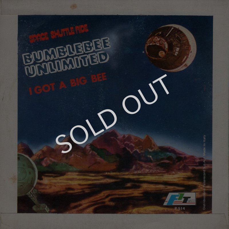 画像2: BUMBLEBEE UNLIMITED - SPACE SHUTTLE RIDE / I GOT A BIG BEE  (2)